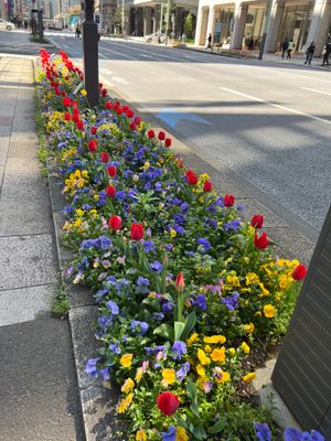 g13/01/53301/3/174469473.b13b3572.JPEG