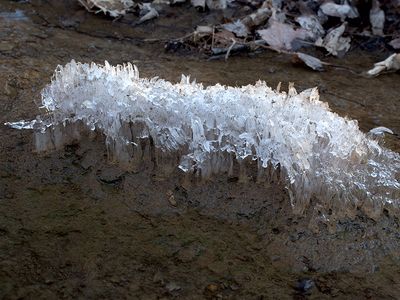 Ice in Creek