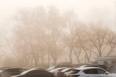 Foggy in the car park