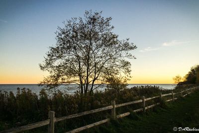 Autumn Evening on the Lake I