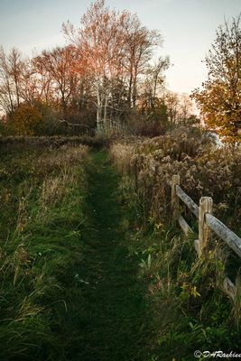 Autumn Evening on the Lake II