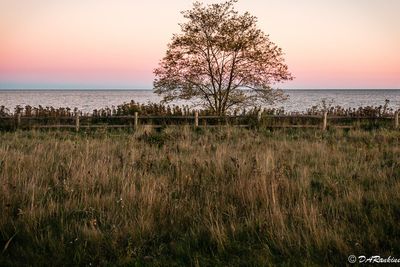 Autumn Evening On the Lake III