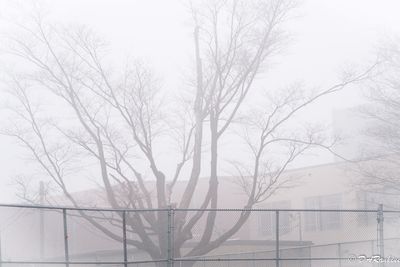 g13/01/709301/3/173202880.02596b95.JPEG