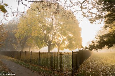 The Fall Begings in Summer