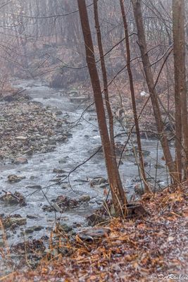 Deerlick Creek and Mist