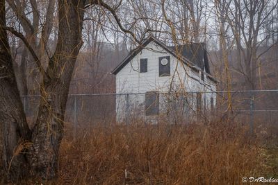 House in the Woods