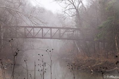 Mist and Reflection