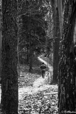 Snow on the footpath II