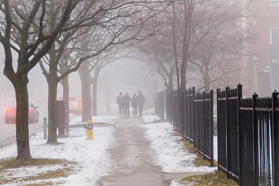 Boys In the Mist