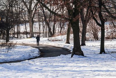 Winter In Brookbanks Park