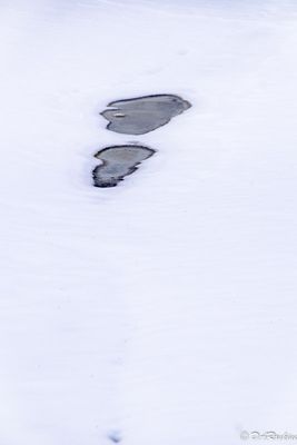 Snow covered stream