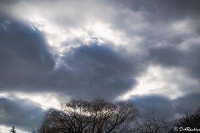 Clouds and Willow