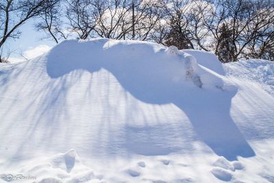 Snowbank at the Mall