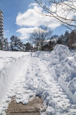 Ploughed Sidewalk