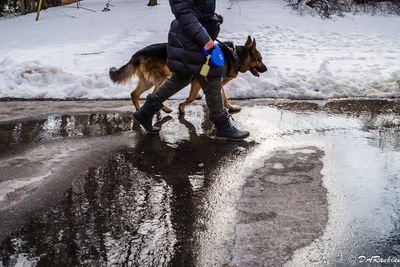 Man and Dog