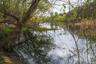 Two Towers in Spring
