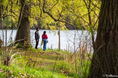 By the Pond