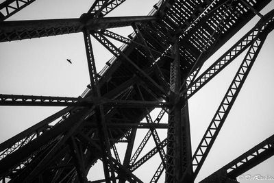 Trestle and Crow