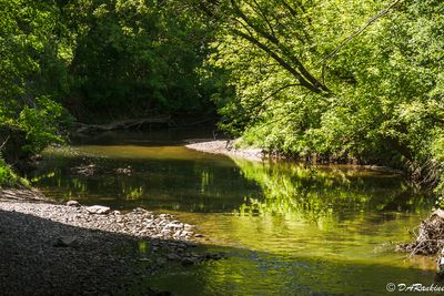 Sunlight on the East Don River