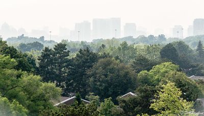 Smoke from the forest fires
