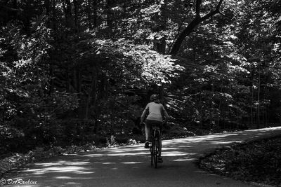 Riding Through the Shadows