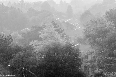 From the fires in the north