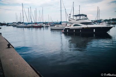 Docked Boats