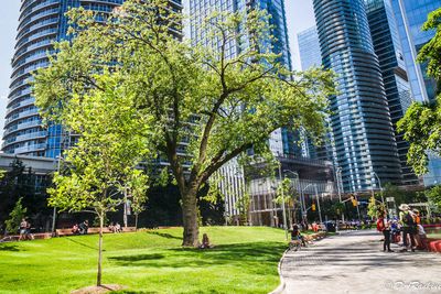 Love Park