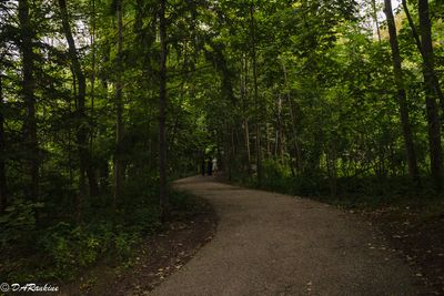 The trail on a cloudy day