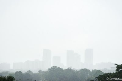 Summer Rain and Mist