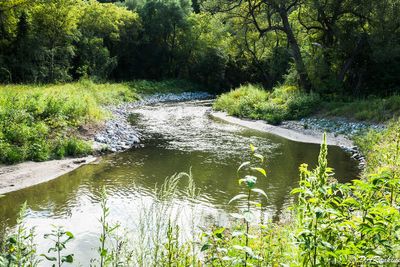 The Don River