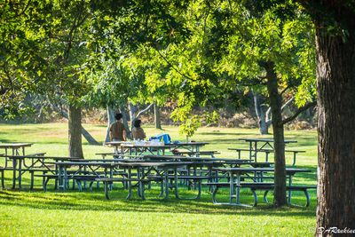 The picnic is over