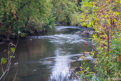 The Don River