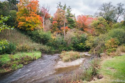 The Don River