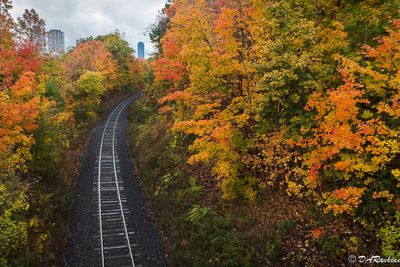 Autumn goes around the bend