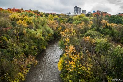 The East Don River