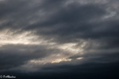 Grey Skies