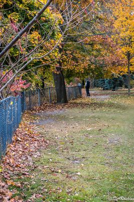 The Fading Colours of Autumn I