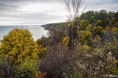 Over looking Lake Ontario