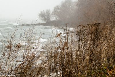 Mist on Lake Ontario