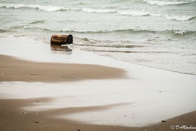 Ebb, Flow and Driftwood I