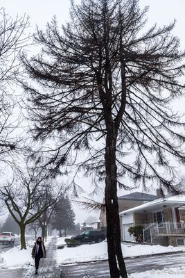 g13/01/709301/3/174315631.2b441229.JPEG