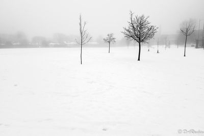 School Yard in Fog
