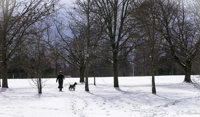 Woman and Dog II