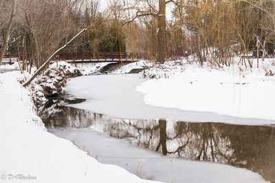 Wilket Creek in Winter