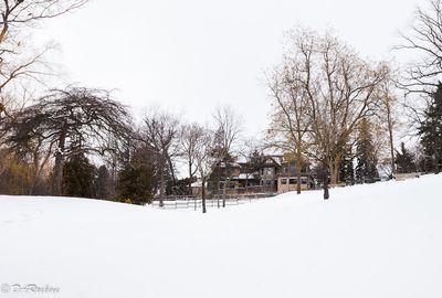 The House Across the Road