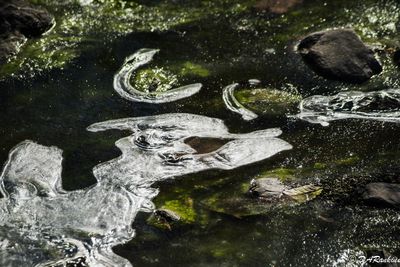 Ice on Deerlick Creek II