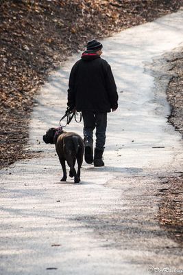 Man and His Dogs