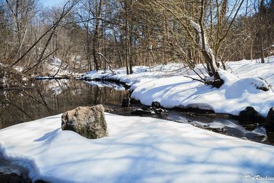 Snow on Wilket Creek