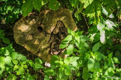 20240929-_DSC2046.jpg